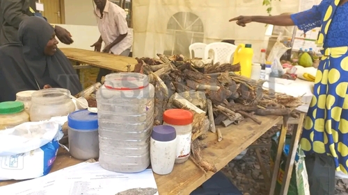 Selected traditional artifacts and medicines were showcased at this year’s annual Maragoli Cultural Festival held today in Mbale.