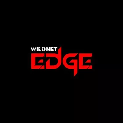 Wildnet Edge | Web Development