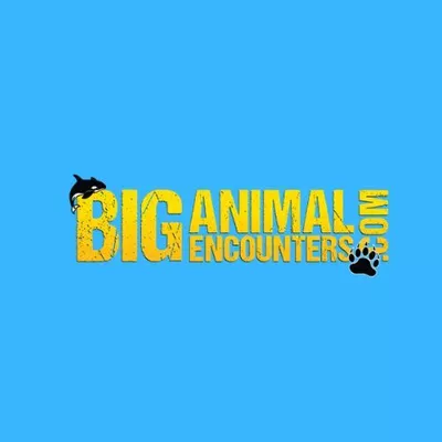 Big Animal Encounters