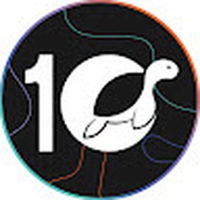 10 turtle